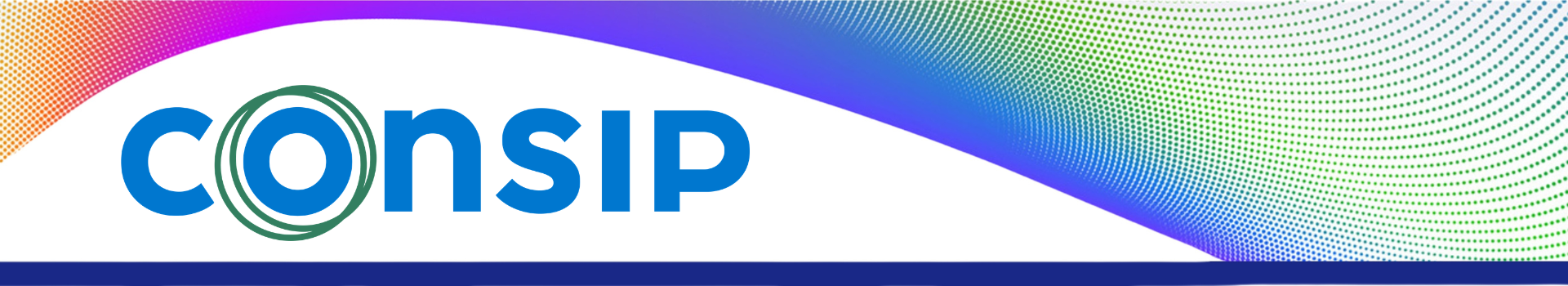Consip - Partner